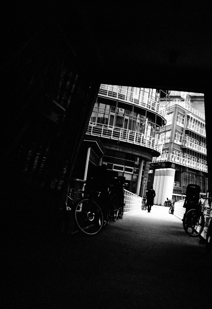 Nikon F80, Nikkor AF 50 1.8D, Kodak BW400CN