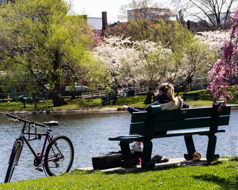 Nikon D600, Nikkor AF 28-105D, ISO 200, RAW, Lightroom