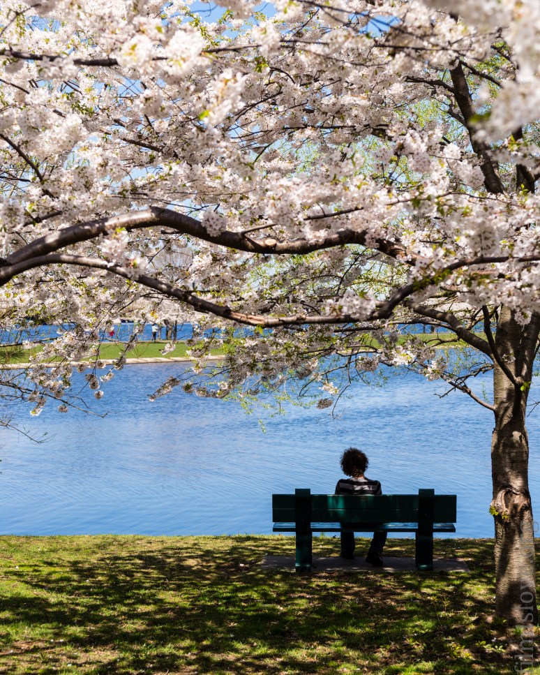 Nikon D600, Nikkor AF 28-105D, ISO 200, RAW, Lightroom