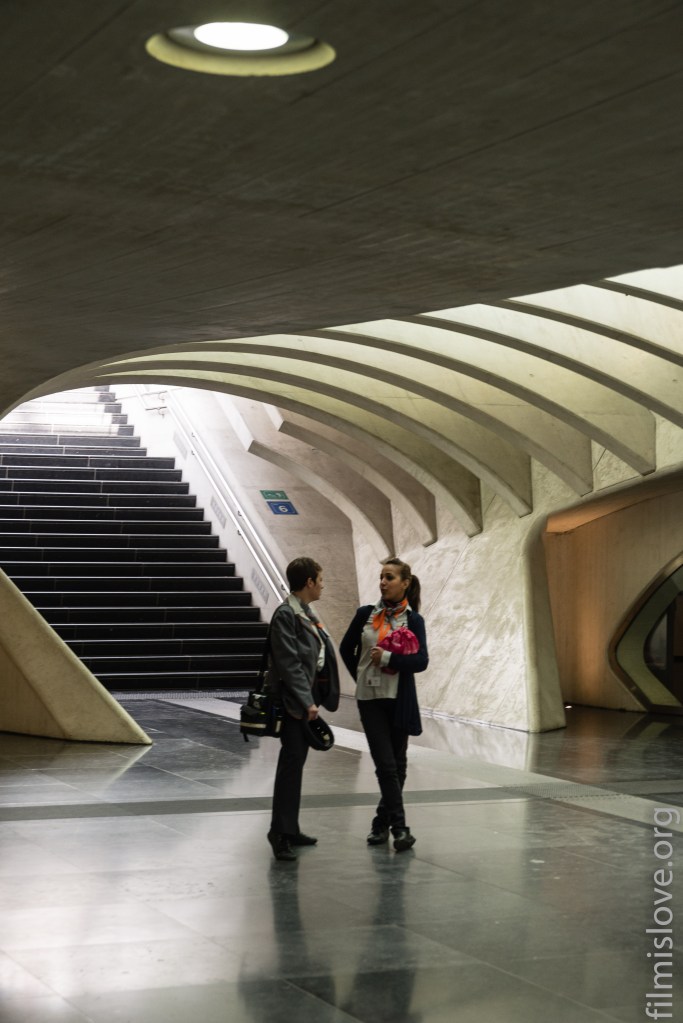 Liège Guillemins, Nikon D600, Nikkor AF28-105D