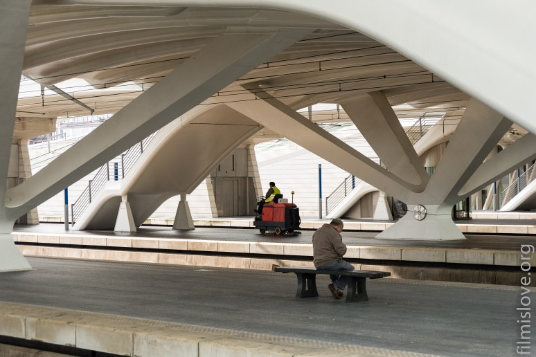 Liège Guillemins, Nikon D600, Nikkor AF28-105D