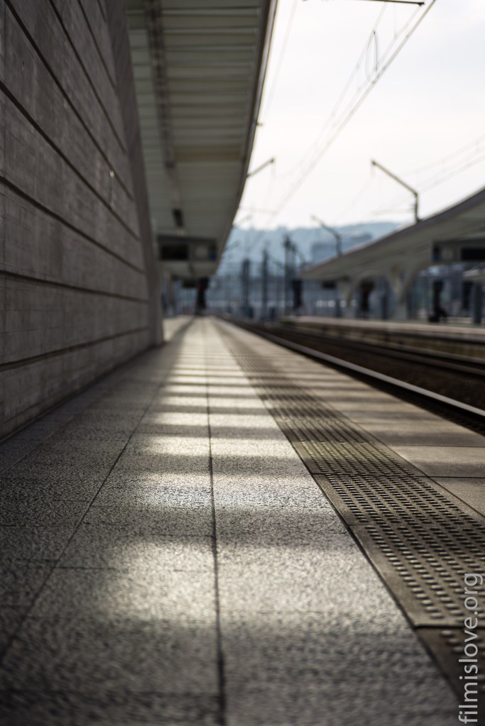 Liège Guillemins, Nikon D600, Nikkor AF28-105D