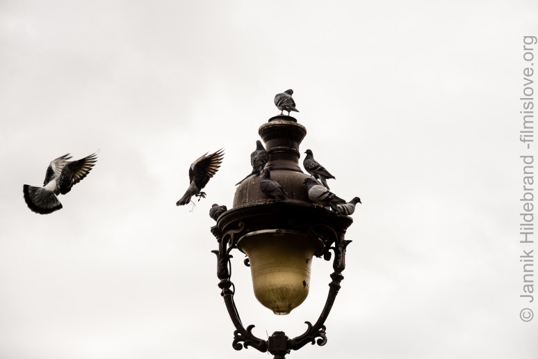 Nikon D600, Nikkor AF28-105D