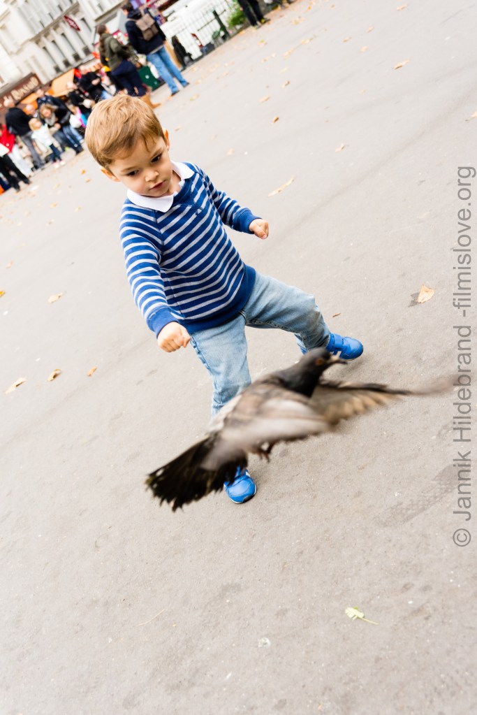 Nikon D600, Nikkor AF28-105D