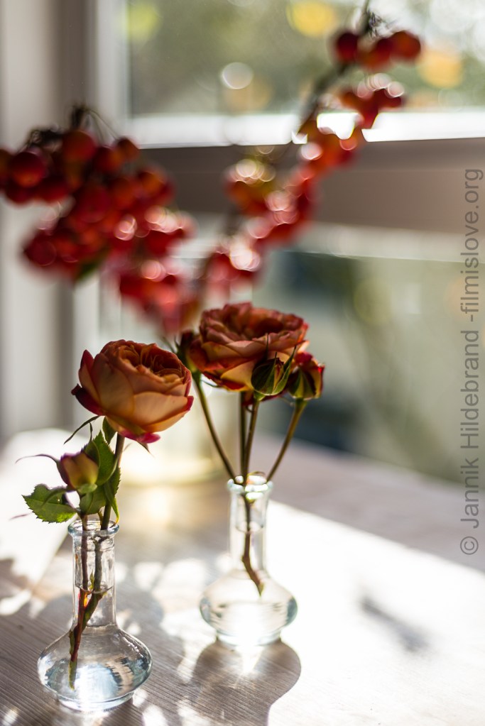 Nikon D600, Nikkor AF50 1.8D