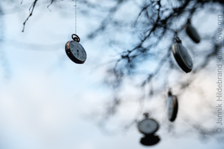 Nikon D600, Nikkor AF28-105D