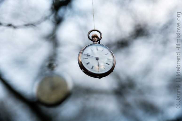 Nikon D600, Nikkor AF28-105D