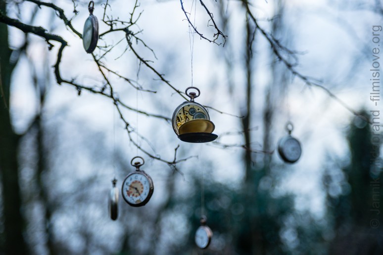 Nikon D600, Nikkor AF28-105D