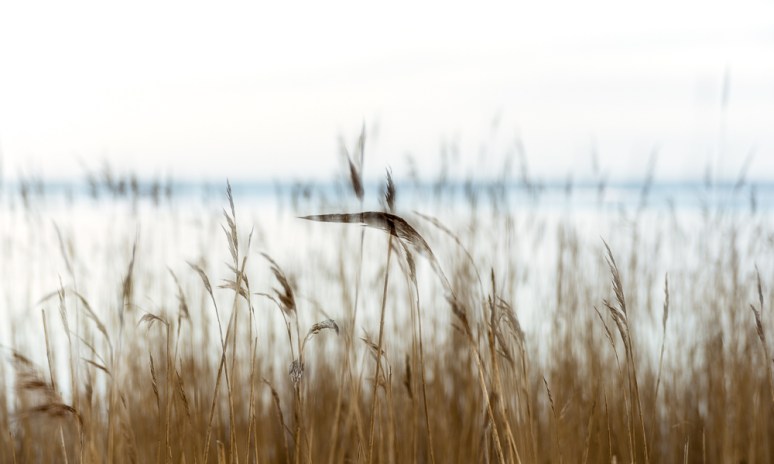 Nikon D600, AF Nikkor 28-105D